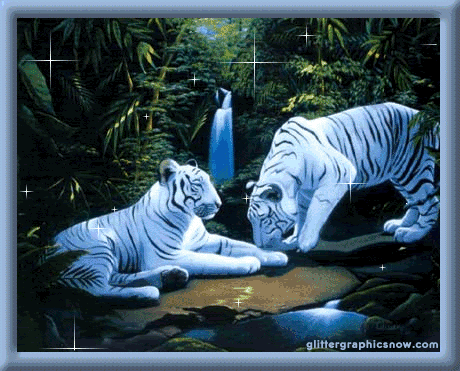 animal103